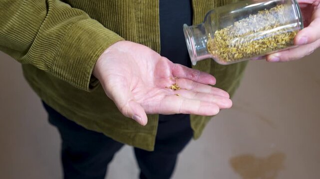 Person pouring dried herbs from a glass jar into their palm, showcasing the process of ingredient preparation in a brewery setting
