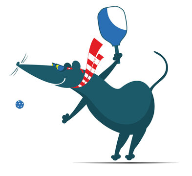 Animal. Sport. Cartoon rat or mouse plays pickleball
