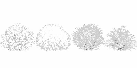 Fototapeta premium four shrub silhouettes in grayscale on white background