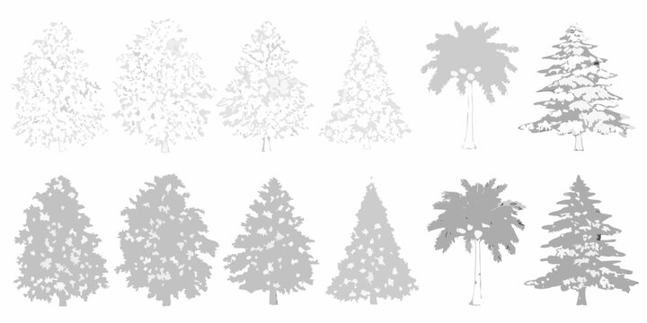 tree collection with various shapes and styles