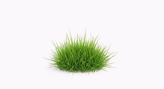 green grass isolated on white background
