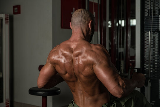 Back Exercise