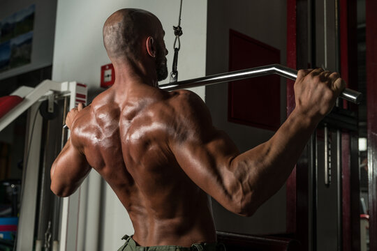 Back Exercise