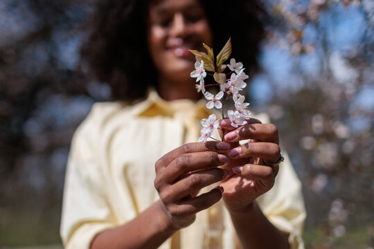 Young woman holds cherry blossom branches hands enjoying springtime and nature