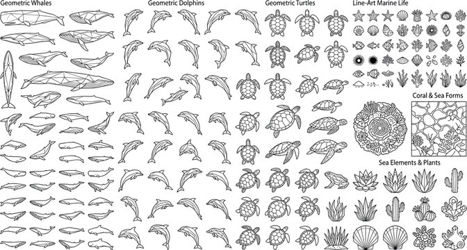 Geometric marine life collection, origami style whale dolphin and turtle vector icons with coral sea plants line art on transparent background