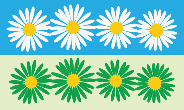 Daisy chain pattern white and green flowers on a two tone background