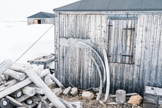 Svalbard, Svalbard and Jan Mayen - 21 June 2025: View of Kinnvika Station with weathered wooden huts, large whale bones leaning against a wall, and driftwood in the snowy arctic landscape.
