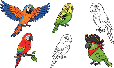 Obraz premium Parrot birds vector set featuring macaw, budgerigar and pirate parrot, colorful tropical animal illustrations with flying and sitting poses for wildlife design