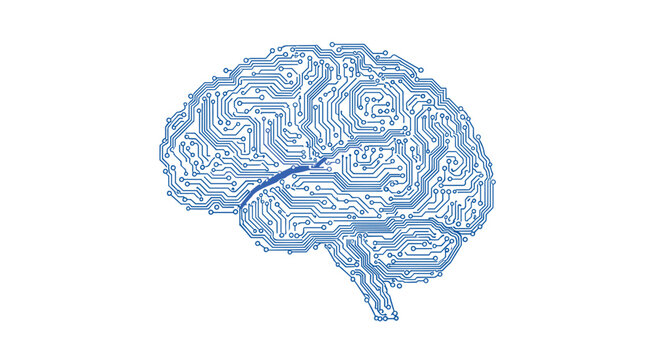 A detailed graphic illustration of a human brain composed entirely of digital blue circuit board pathways set against a clean and isolated solid white background color.