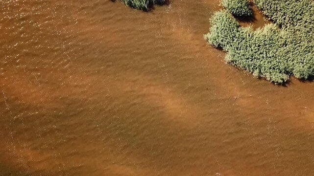 Ascending drone at the litoral zone, ocher water with waver, Lake Peipus, Estonia