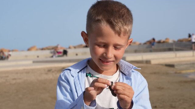 Boy exploring small crab on beach curious child outdoor