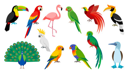 Naklejka premium Vibrant collection of exotic birds: toucan macaw flamingo parrot peacock