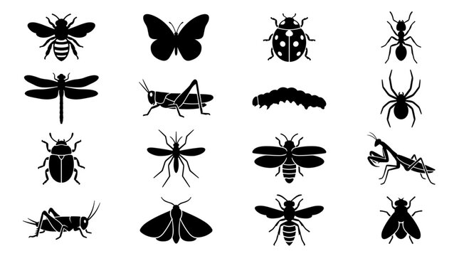 Collection of various insect silhouettes: butterfly bee ladybug spider and more