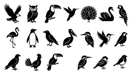 Naklejka premium Diverse bird silhouette collection: a graphic illustration of various avian species
