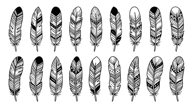 Abstract patterned feather collection in style isolated on background