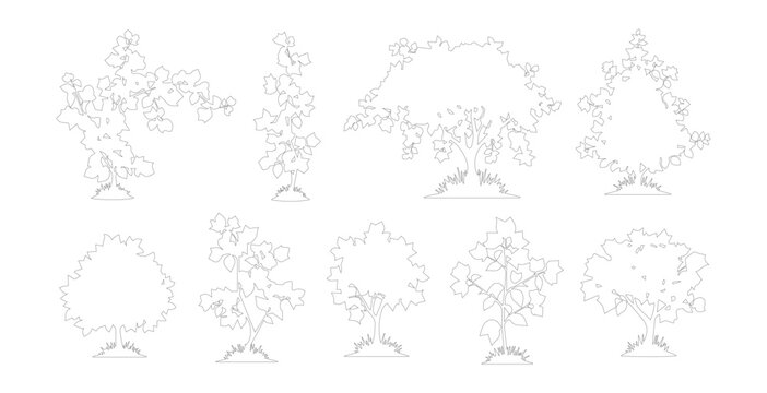 Minimalist tree line art collection, set of 9 thin stroke vector trees, botanical outline illustrations for architectural site plans and landscape design