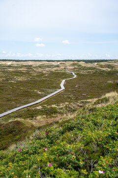 Inselwege auf Amrum in Richtung Quermarkenfeuer