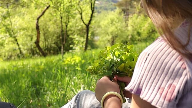 Young girl collecting fresh wild greens by hand in a sunlit meadow, sitting in nature and gathering plants, capturing a peaceful rural moment, outdoor lifestyle and connection with environment.
