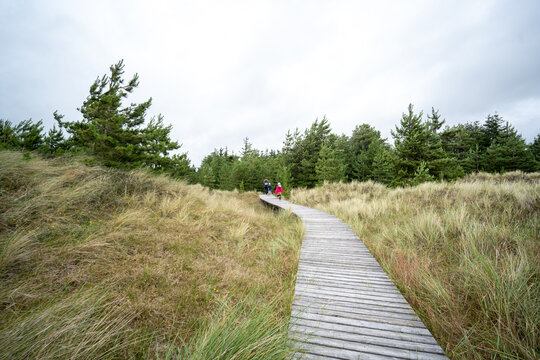 D&uuml;nenlandschaft am Wriakh&ouml;rnsee auf Amrum im Sommer