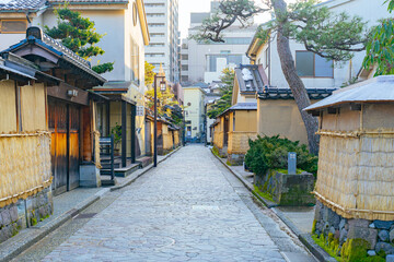 Fototapeta premium 朝の長町武家屋敷跡界隈