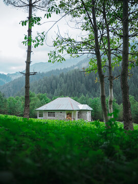 Kaghan, Pakistan - 05 June 2025: View of a stone house in Manoor Valley surrounded by dense pine forests and misty mountains under an overcast sky.