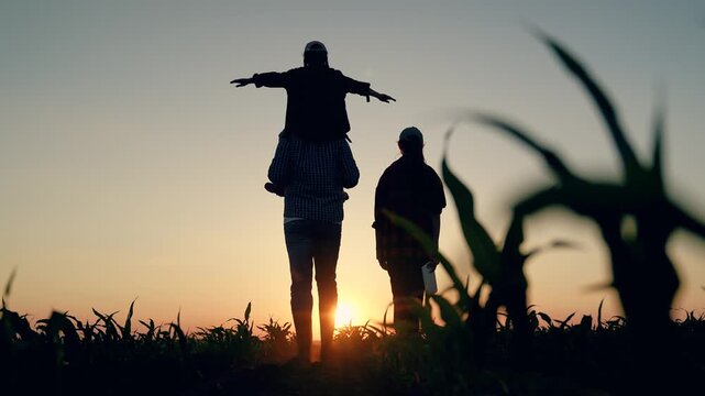 Farming family with child on shoulders strolls field green sprouts. Father mother, child walking together on plantation. Child dreams fly. Child superhero. Family unity. Parents kid fun in countryside