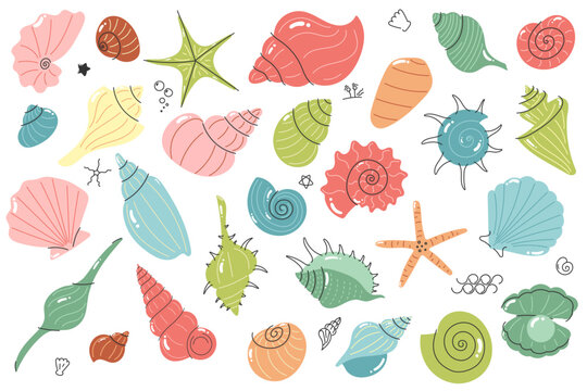 Seashell set collection with shells starfish and marine elements in hand drawn doodle style for summer decor branding and packaging