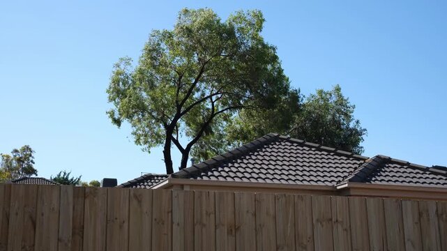 Timber paling fence along a residential boundary in an Australian suburb, with rooflines of neighbouring single-storey brick homes and a large mature tree rises behind in a&nbsp;residential home