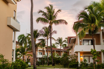 Fototapeta premium Tropical resort hotel complex with buildings among tall palm trees at dusk