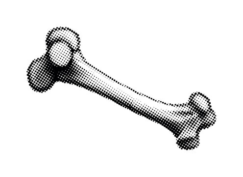 A single femur bone angled diagonally like a specimen image, black and white halftone illustration, bold dot pattern contrast, high contrast, vintage print