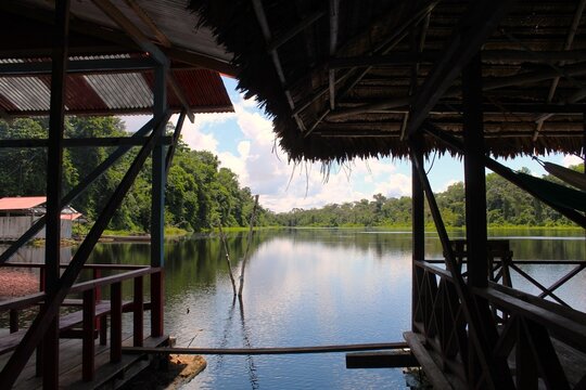 Reserva en el amazonas