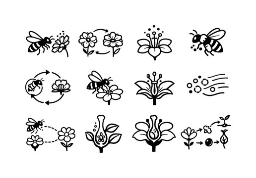 Pollination concept. Line outline icon set of Pollination concept: bee to flower, pollen transfer, flower with