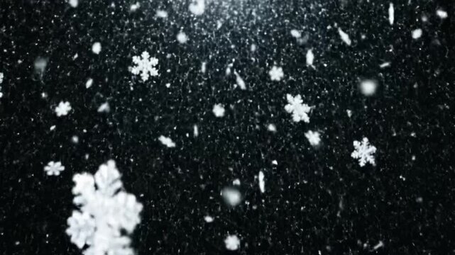 Winter snowflake series captures falling snowflakes against a dark background in a unique display during cold weather