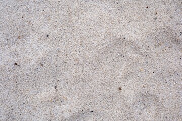 Fototapeta premium Natural Sand Surface Texture Background