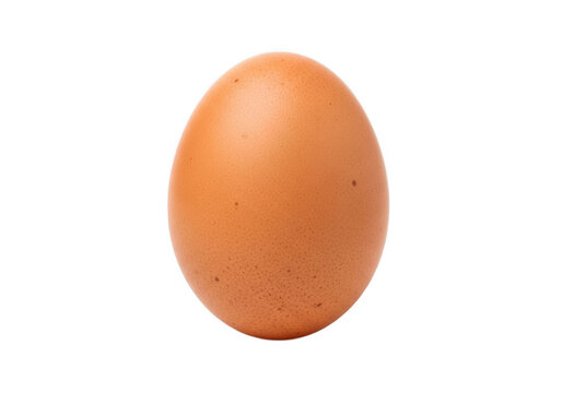 A single brown chicken egg with a smooth and slightly glossy shell isolated on transparent background