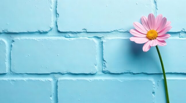 A solitary pink bloom stands out against a textured backdrop of painted blue bricks, a gentle contrast of color and form