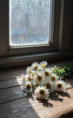 Naklejka premium Sunlit daisies rest on rustic wooden floor near window casting soft