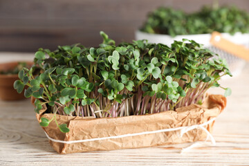 Fototapeta premium Fresh microgreens in container on wooden table, closeup