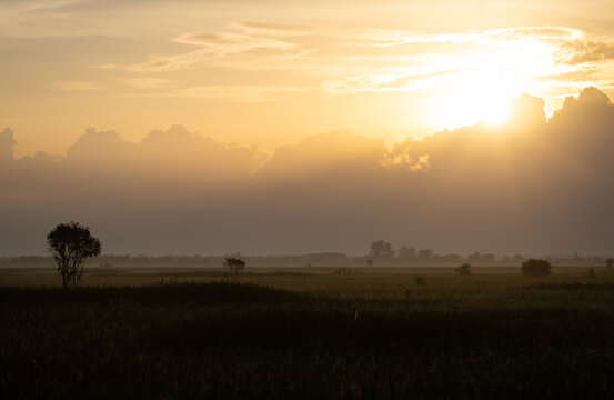 Beautiful golden sunset over rural field with misty clouds and lonely trees for natural landscape and peace concept background