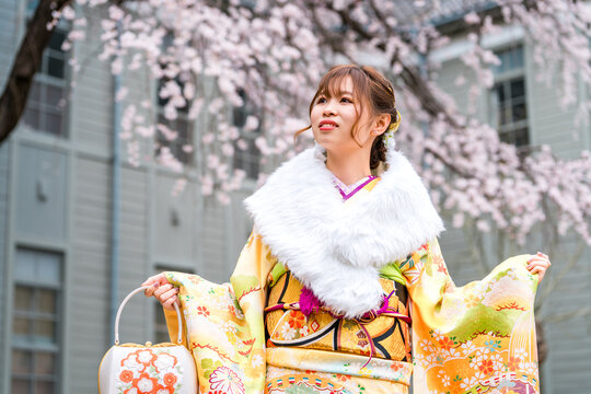 Japanese women celebrating their coming of age, wearing furisode kimonos under cherry trees.
