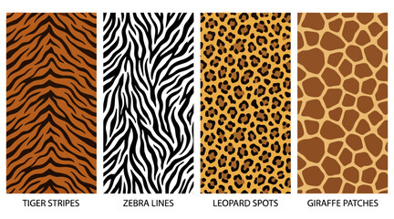 A collection of four distinct animal print vector graphic illustrations featuring tiger stripes, zebra lines, leopard spots, and giraffe patches © Ibnu Gazali