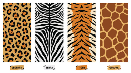 Collection of diverse animal skin patterns including leopard zebra tiger and giraffe textures featured in a professional vector graphic illustration © Ibnu Gazali