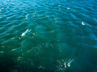Naklejka premium Turquoise water of the Atlantic Ocean with small white waves rolling during a bright sunny day in the Florida Keys islands, USA.