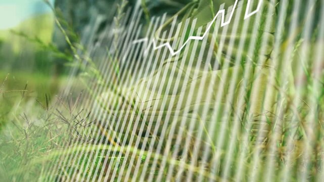 Vertical video: Starting overlay, white stripes gaining and jagged line rising over grassy verge