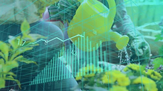 Gardener tilting yellow water can pouring water to wet roots while data charts growing, framing bed