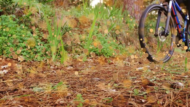 Golden particles rising, bicycle wheels and rider feet rolling on pine trail, showing recreation