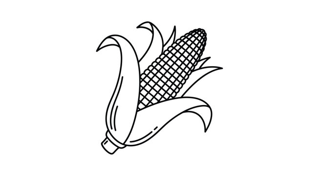 Simple line art vector illustration of a single ear of corn with husks peeled back revealing kernels