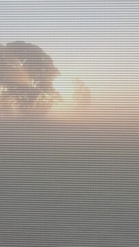 Vertical video: Tree silhouette and sun nearing horizon, producing halo and screen glare, warm sky
