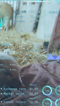 Vertical video: Hand entering right making cyan finance panels cycling while piglet moving on cloth