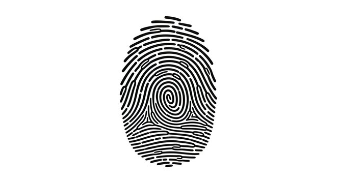 Detailed black and white fingerprint graphic for personal identity, biometric security, and authentication